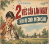 2 việc cần làm ngay khi bị chó, mèo cào